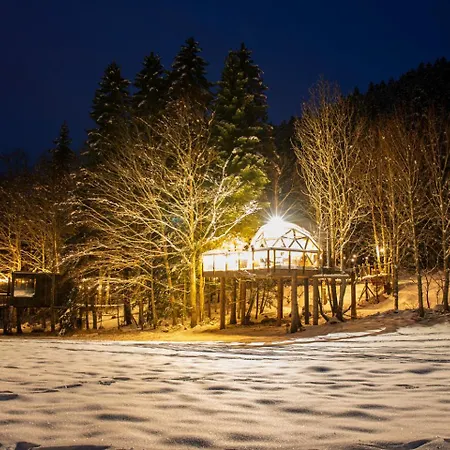 Dome Panoramique Confort Au Coeur Du Vercors